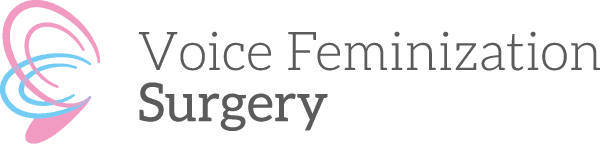 logo voicefem logo voicefem